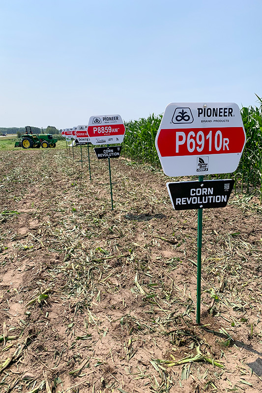 A row of field signs for Pioneer corn. A large tractor is in the distance.